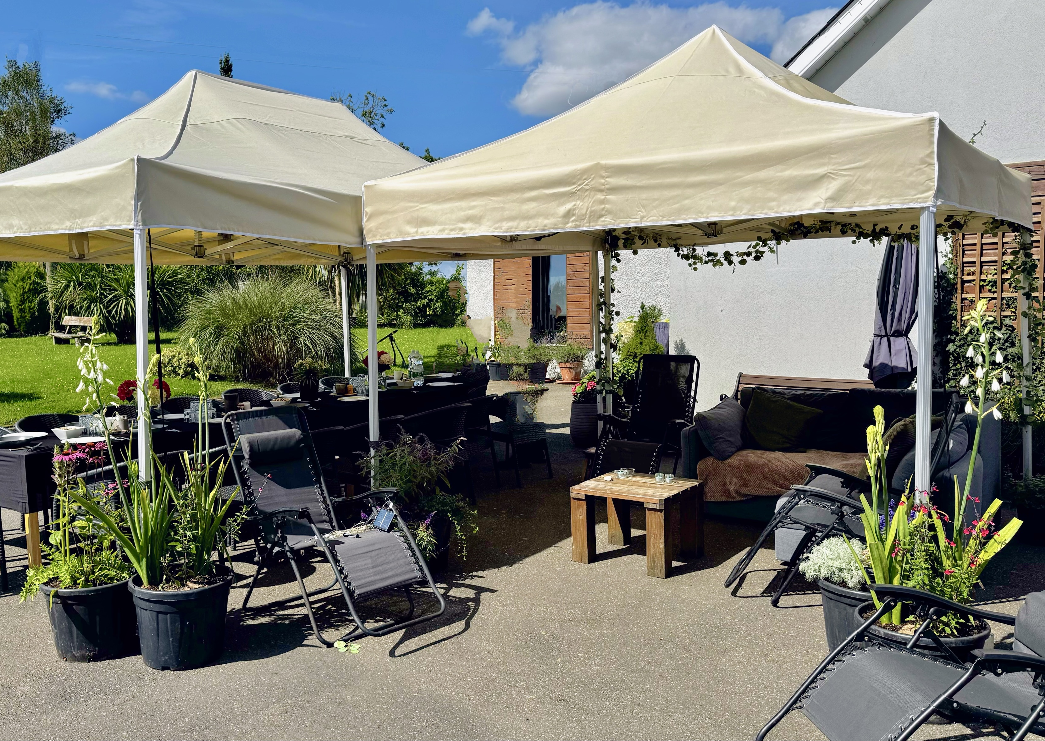 Aluminium 50 Pop-Up Gazebo